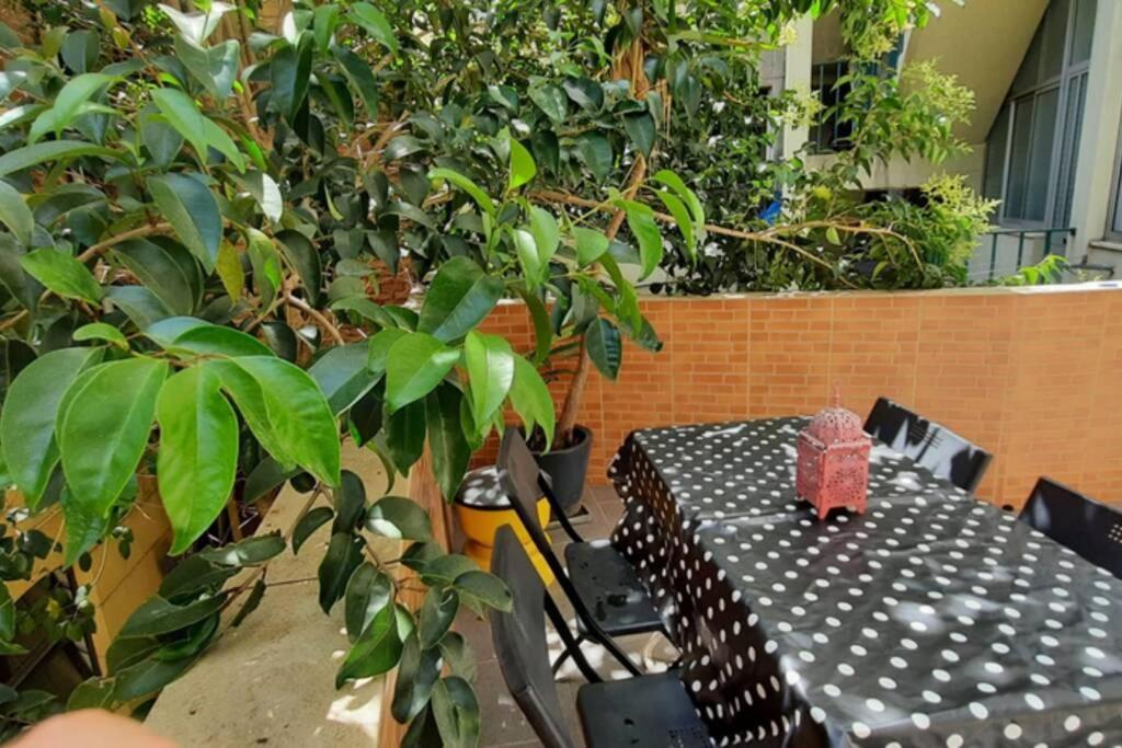 Charming Sunny Terrace / One Bedroom Apartment Lisboa Eksteriør bilde